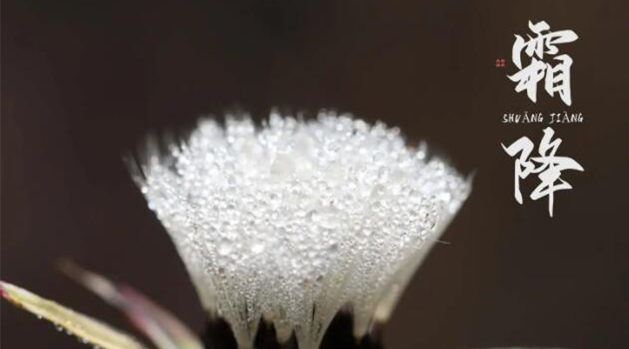 霜降時節(jié)！金環(huán)電器提醒大家要注意的事項