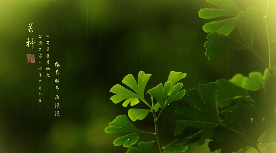 芒種時節(jié)！金環(huán)電器提醒大家的注意事項