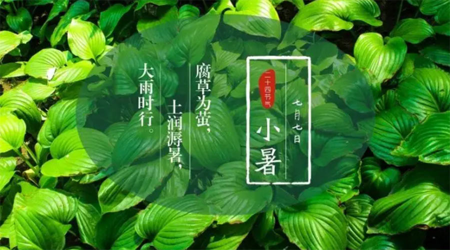小暑時節(jié)來到！金環(huán)電器提醒大家要注意的事項